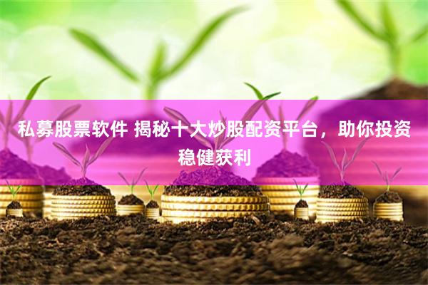 私募股票软件 揭秘十大炒股配资平台，助你投资稳健获利