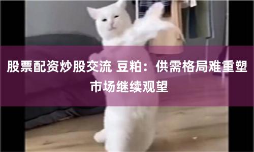 股票配资炒股交流 豆粕：供需格局难重塑 市场继续观望