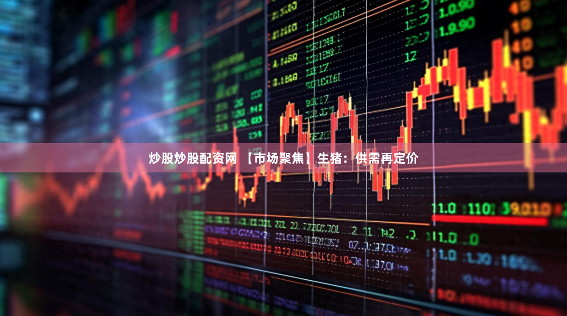 炒股炒股配资网 【市场聚焦】生猪：供需再定价