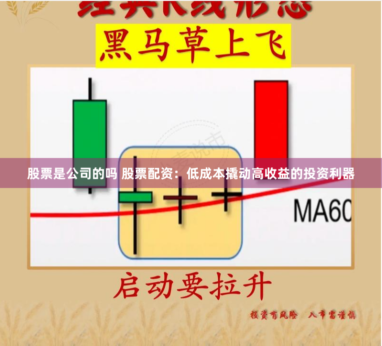 股票是公司的吗 股票配资：低成本撬动高收益的投资利器