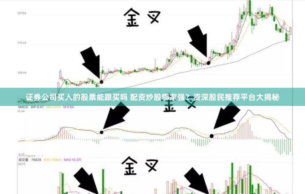 证券公司买入的股票能跟买吗 配资炒股哪家强？资深股民推荐平台大揭秘