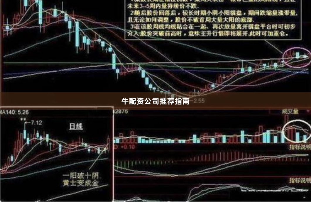 牛配资公司推荐指南