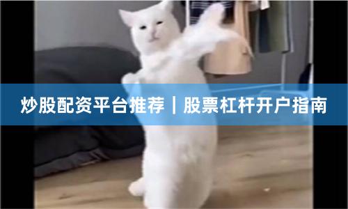 炒股配资平台推荐｜股票杠杆开户指南