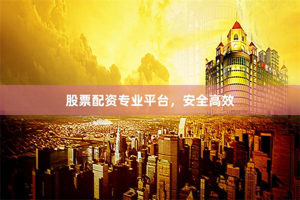 股票配资专业平台，安全高效